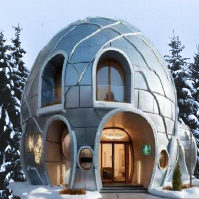 Igloo